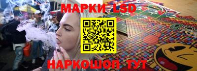 СК Новодвинск