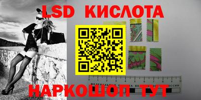стаф Новокубанск