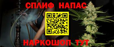 СК Новодвинск