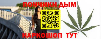 СК Новодвинск