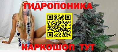 гашиш Нарткала