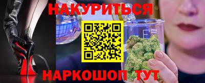 СК Новодвинск