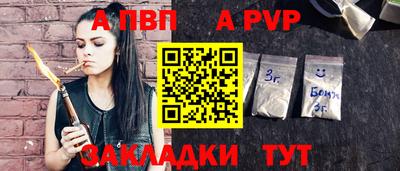 СК Новодвинск