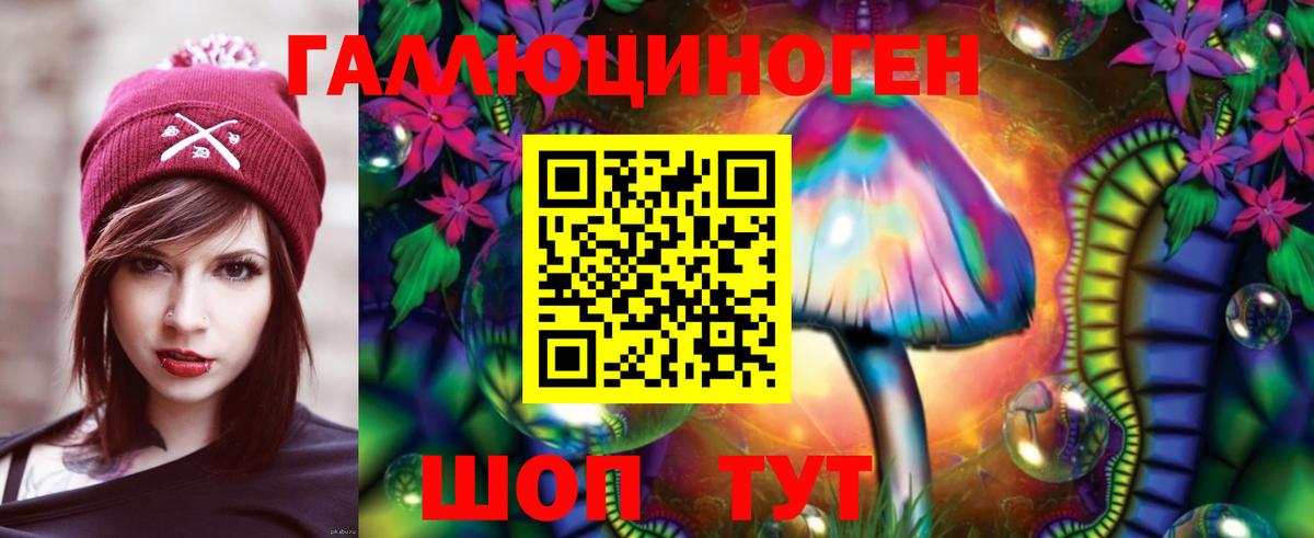 Галлюциногенные грибы Psilocybine cubensis Великий Устюг